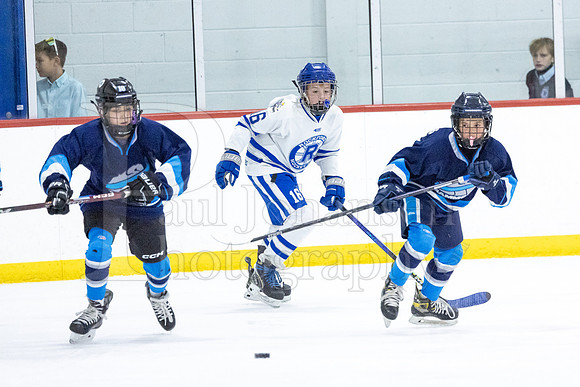 Rockford Hockey Club vs Mammoth 10-27-2024-0458