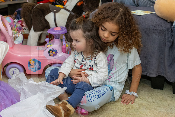 Brinley's 3rd Birthday Party 2-9-2025-1607