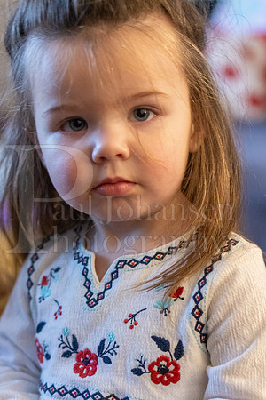 Brinley's 3rd Birthday Party 2-9-2025-1599
