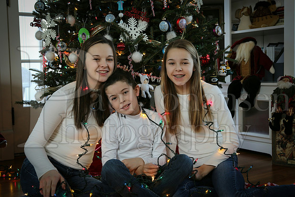 Wehrstein Family Xmas 2013 Family Portraits 12-15-2013-3856_PE