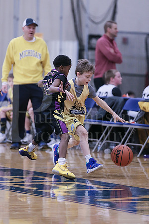 Rockford Elite Basketball vs JR Purgolders 2-24-2019-0235
