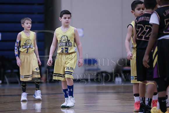Rockford Elite Basketball vs JR Purgolders 2-24-2019-0016