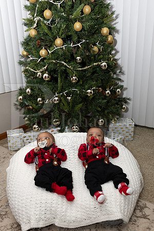Foreman Family Portraits 12-12-2024-0064