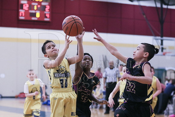 Rockford Elite Basketball vs JR Purgolders 2-24-2019-0268