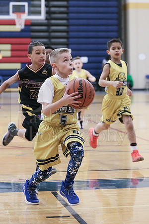 Rockford Elite Basketball vs JR Purgolders 2-24-2019-0196