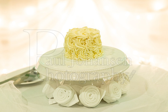 Delehanty Wedding 3-2024-1407