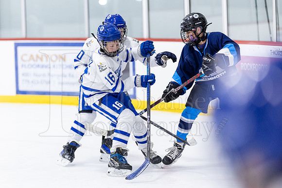 Rockford Hockey Club vs Mammoth 10-27-2024-1498