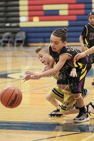 Rockford Elite Basketball vs JR Purgolders 2-24-2019-0214