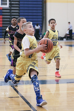 Rockford Elite Basketball vs JR Purgolders 2-24-2019-0197
