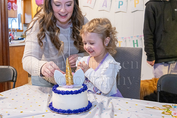 Brinley's 3rd Birthday Party 2-9-2025-1748