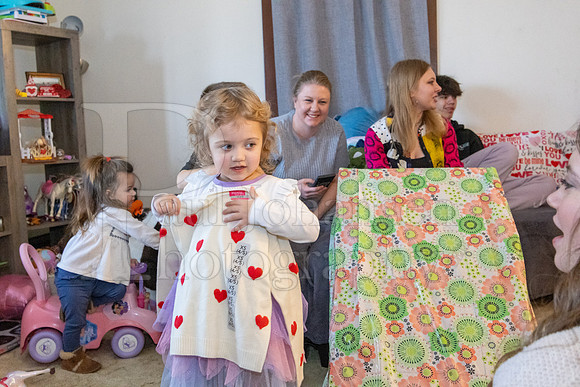 Brinley's 3rd Birthday Party 2-9-2025-1632