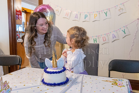 Brinley's 3rd Birthday Party 2-9-2025-1732