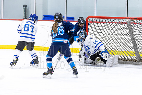 Rockford Hockey Club vs Mammoth 10-27-2024-1362