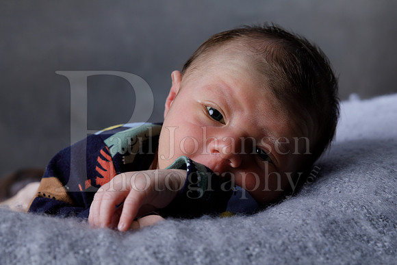 Raiden Kotula Baby Portraits 9-3-2020-0024
