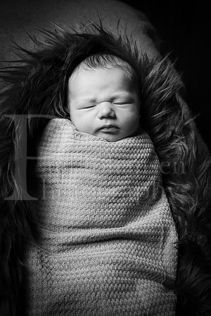 Raiden Kotula Baby Portraits 9-3-2020-0400