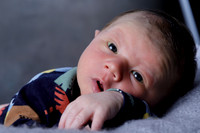 Raiden Kotula Baby Portraits 9-3-2020-0023