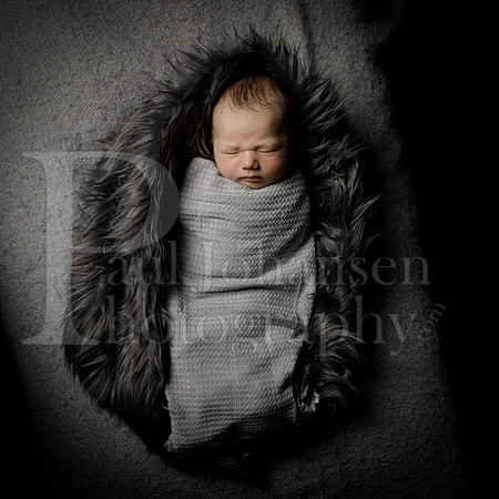 Raiden Kotula Baby Portraits 9-3-2020-0395