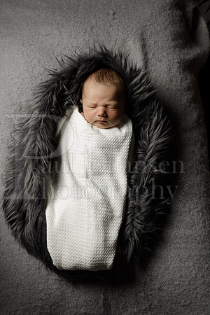 Raiden Kotula Baby Portraits 9-3-2020-0407