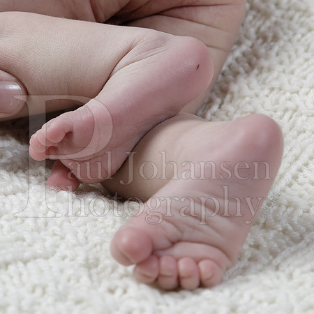 Raiden Kotula Baby Portraits 9-3-2020-0190