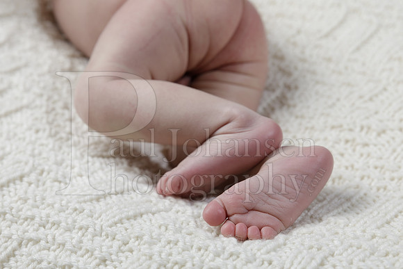 Raiden Kotula Baby Portraits 9-3-2020-0191