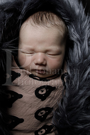 Raiden Kotula Baby Portraits 9-3-2020-0392