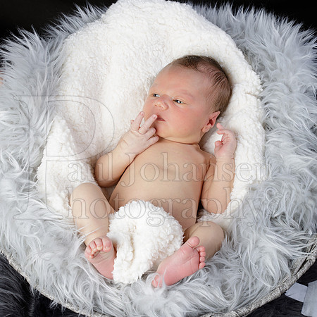 Raiden Kotula Baby Portraits 9-3-2020-0057