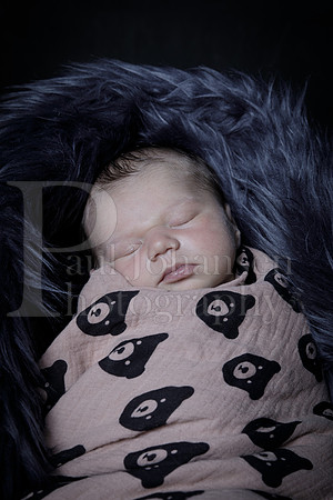 Raiden Kotula Baby Portraits 9-3-2020-0376
