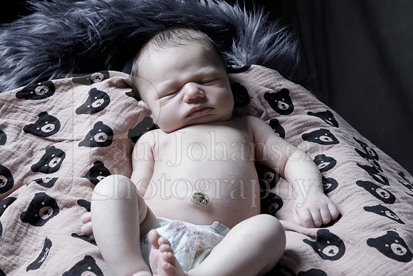 Raiden Kotula Baby Portraits 9-3-2020-0416