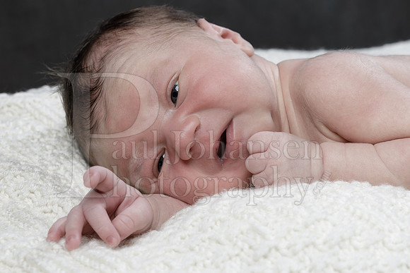 Raiden Kotula Baby Portraits 9-3-2020-0187