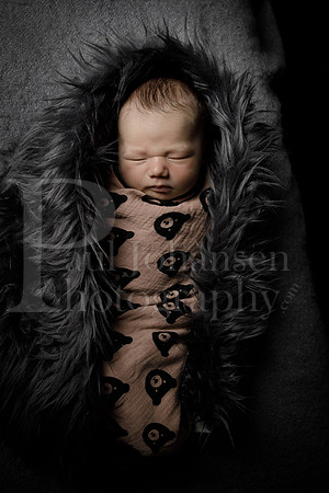 Raiden Kotula Baby Portraits 9-3-2020-0391