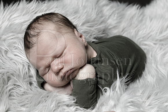 Raiden Kotula Baby Portraits 9-3-2020-0356