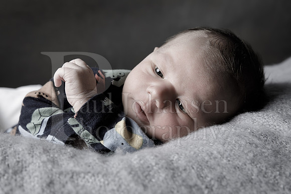 Raiden Kotula Baby Portraits 9-3-2020-0031