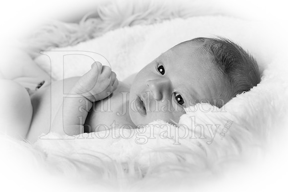 Raiden Kotula Baby Portraits 9-3-2020-0040-2