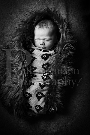 Raiden Kotula Baby Portraits 9-3-2020-0389-2