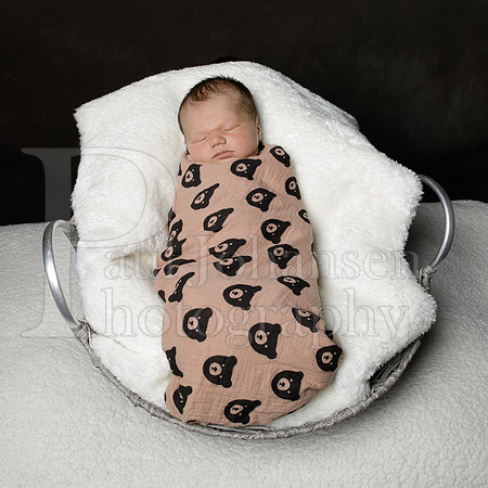 Raiden Kotula Baby Portraits 9-3-2020-0366