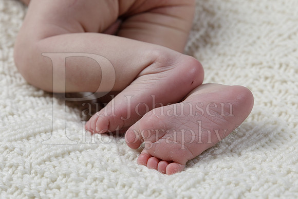 Raiden Kotula Baby Portraits 9-3-2020-0192