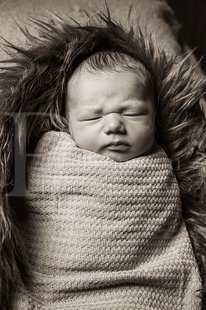 Raiden Kotula Baby Portraits 9-3-2020-0402
