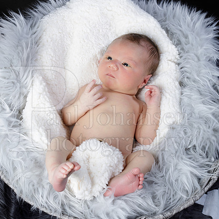 Raiden Kotula Baby Portraits 9-3-2020-0058
