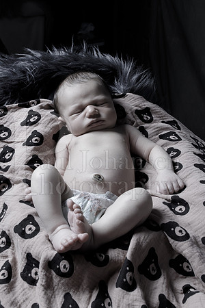 Raiden Kotula Baby Portraits 9-3-2020-0415