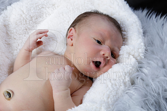 Raiden Kotula Baby Portraits 9-3-2020-0037