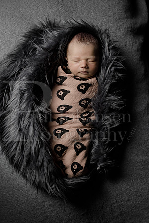 Raiden Kotula Baby Portraits 9-3-2020-0386