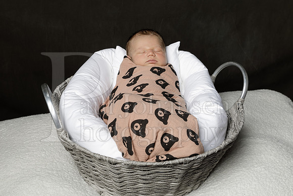 Raiden Kotula Baby Portraits 9-3-2020-0371