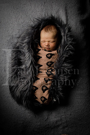 Raiden Kotula Baby Portraits 9-3-2020-0388
