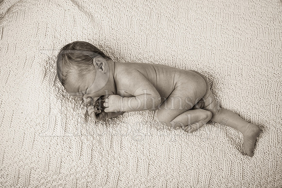 Raiden Kotula Baby Portraits 9-3-2020-0168