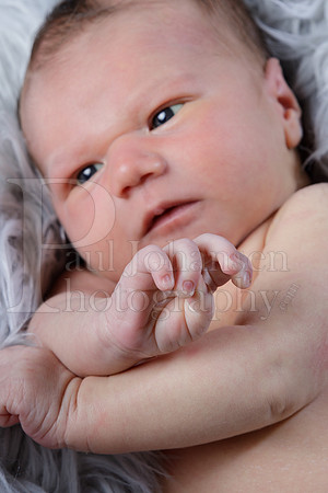 Raiden Kotula Baby Portraits 9-3-2020-0067