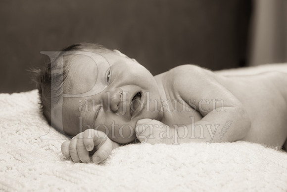 Raiden Kotula Baby Portraits 9-3-2020-0177