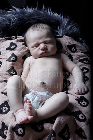 Raiden Kotula Baby Portraits 9-3-2020-0417