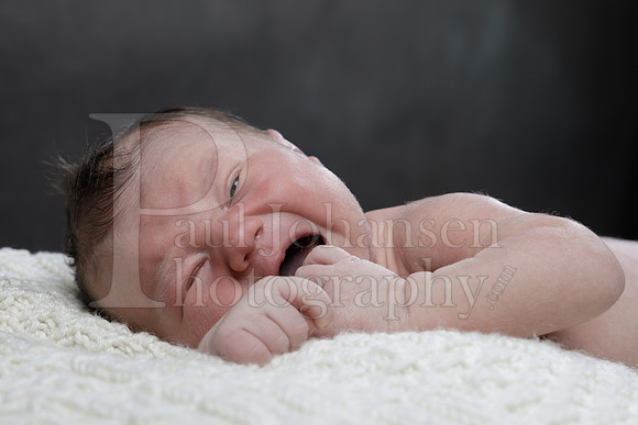 Raiden Kotula Baby Portraits 9-3-2020-0176