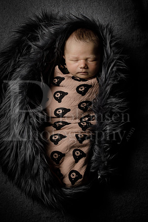 Raiden Kotula Baby Portraits 9-3-2020-0385