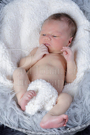 Raiden Kotula Baby Portraits 9-3-2020-0056